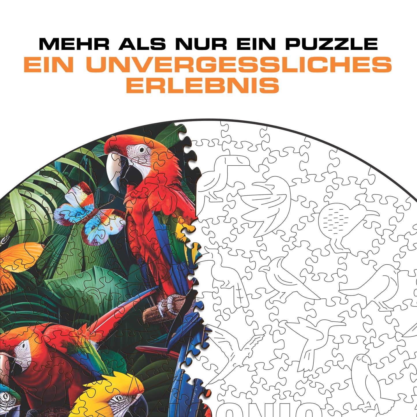 Bunte Papageien - Holzpuzzle