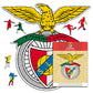 SL Benfica® Logo - Holzpuzzle
