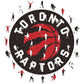 Toronto Raptors™ Logo - Holzpuzzle