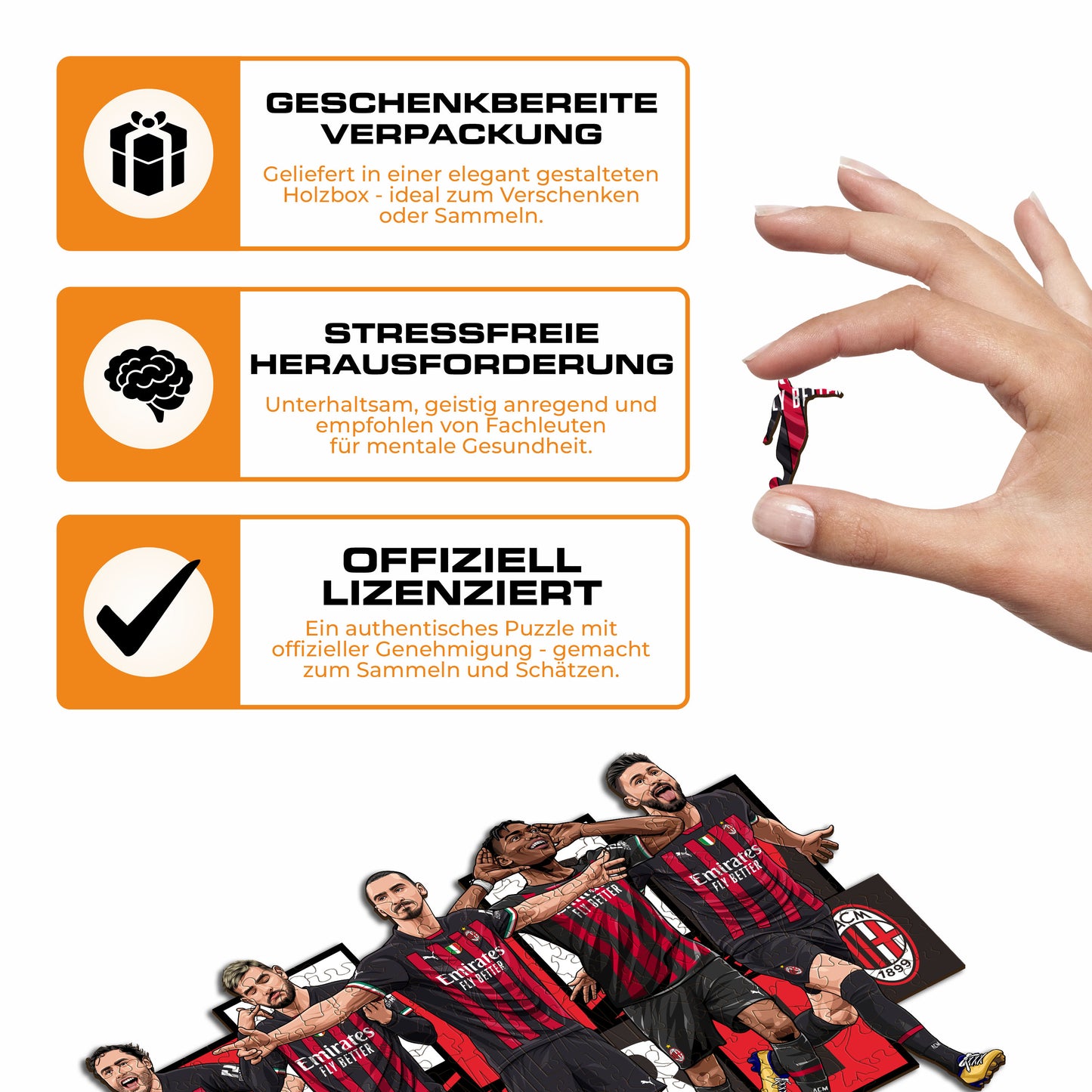 AC Milan® 5 Players - Holzpuzzle