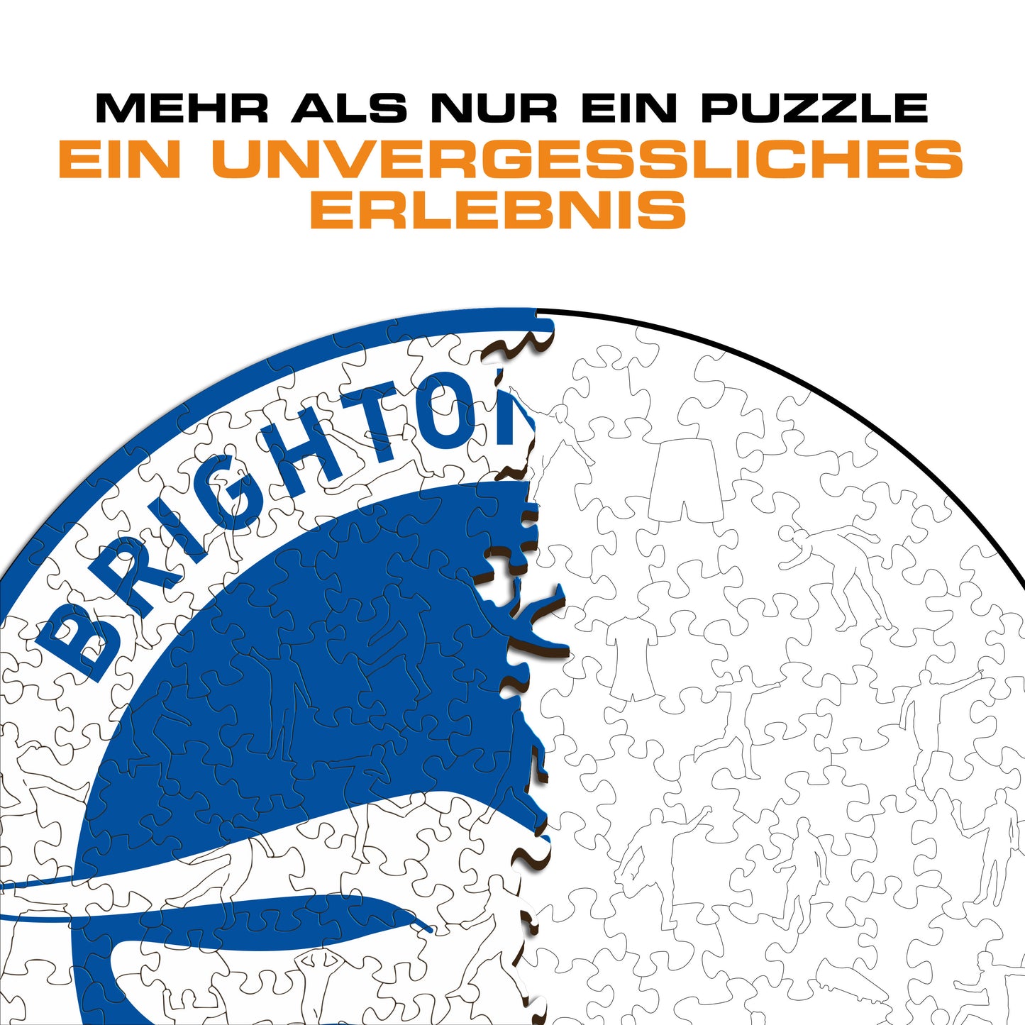 Brighton & Hove Albion FC® Logo - Holzpuzzle